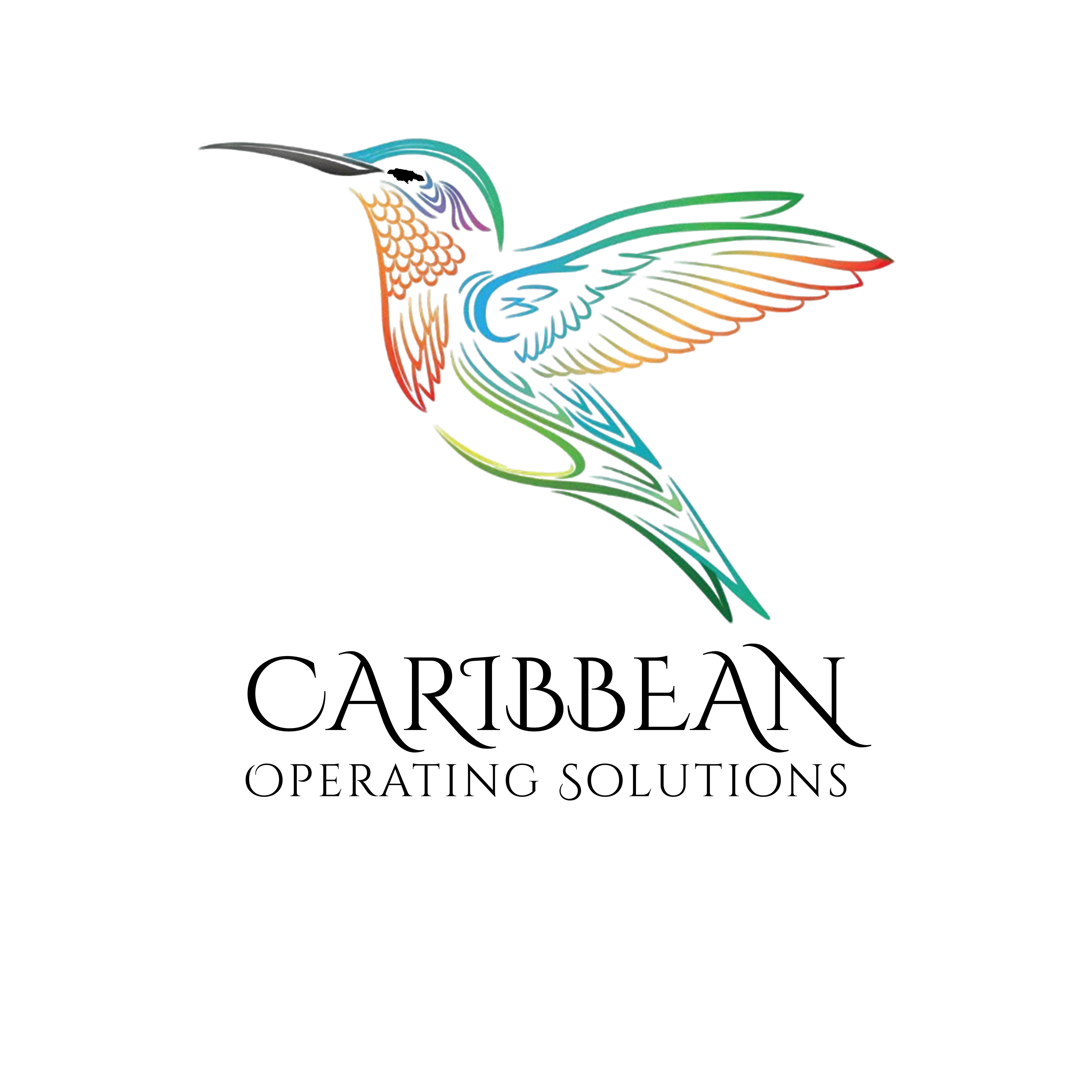 Caribbean Operating Solutions Logo